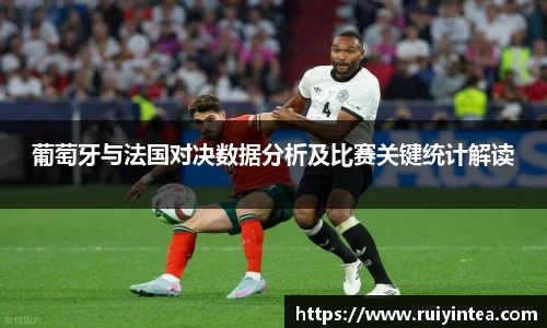 葡萄牙与法国对决数据分析及比赛关键统计解读