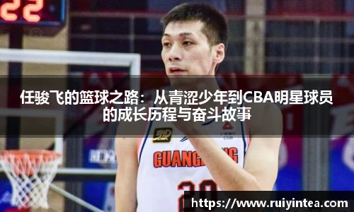 任骏飞的篮球之路：从青涩少年到CBA明星球员的成长历程与奋斗故事