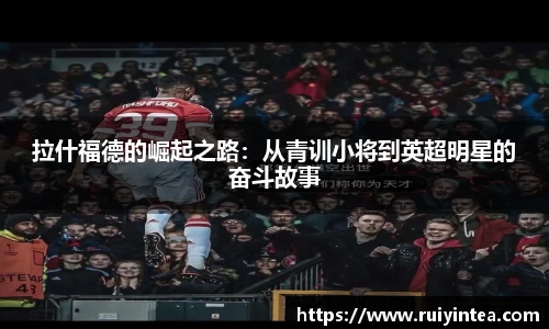 k1体育官方网站