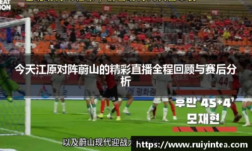 k1体育网页版