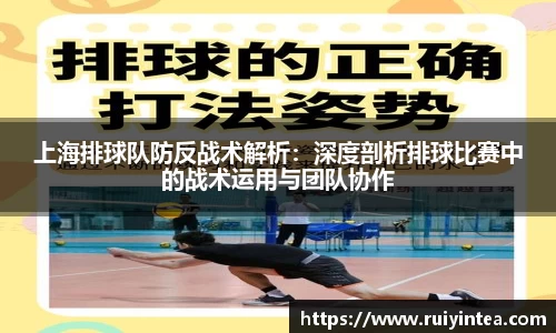 k1体育APP